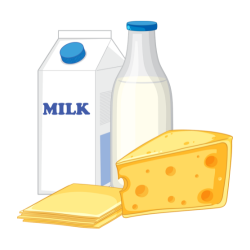 Fresh Milk from PGS Milk